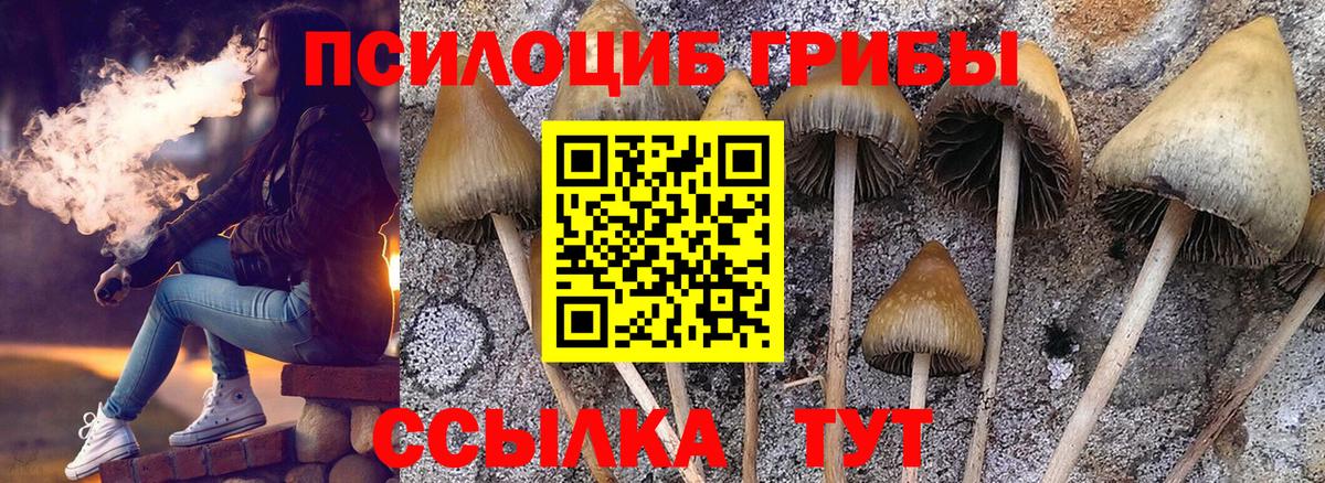 Галлюциногенные грибы Cubensis Лысьва